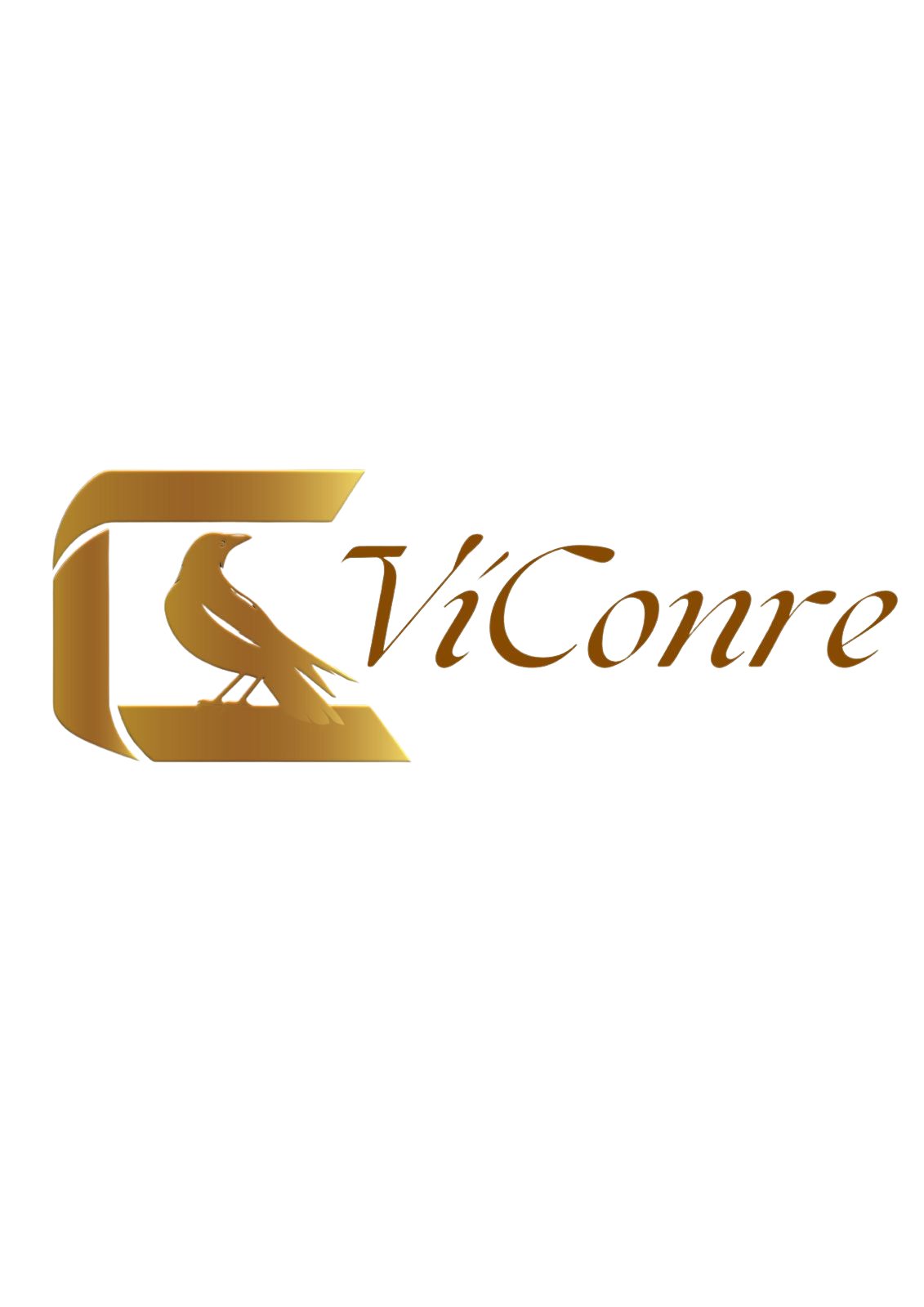 Viconre Store